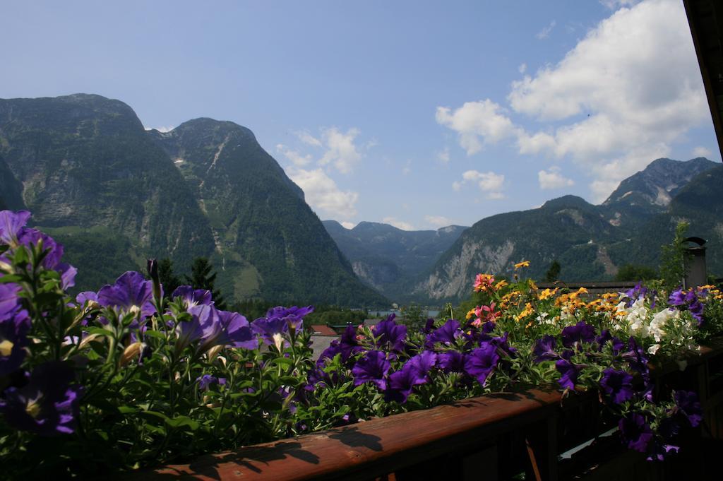 Haus Hepi Hotel Obertraun Ngoại thất bức ảnh
