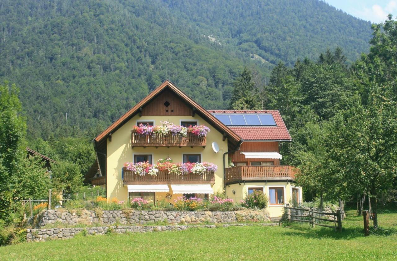 Haus Hepi Hotel Obertraun Ngoại thất bức ảnh